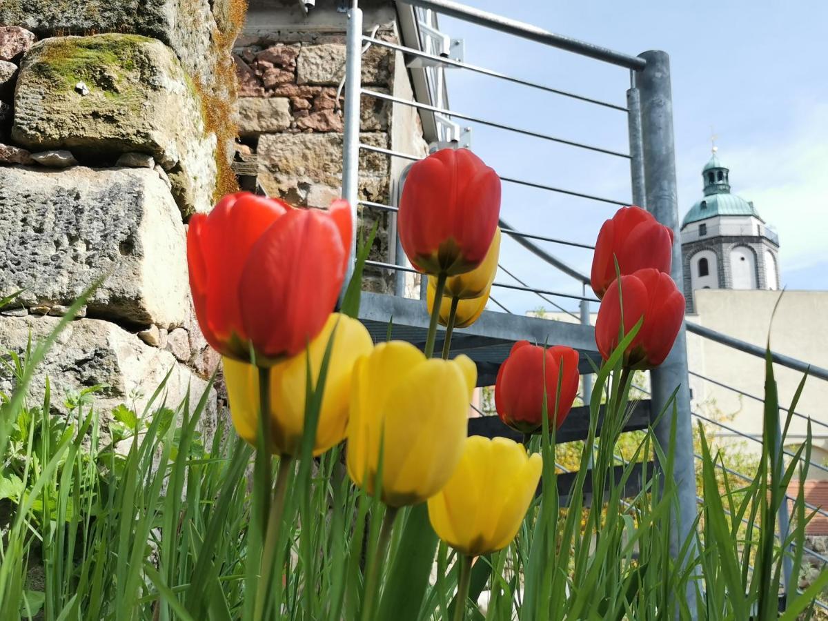 Fynbos Studio Dg In Der Altstadt, Frauenkirchenblick, Parkplatz Meißen Zewnętrze zdjęcie