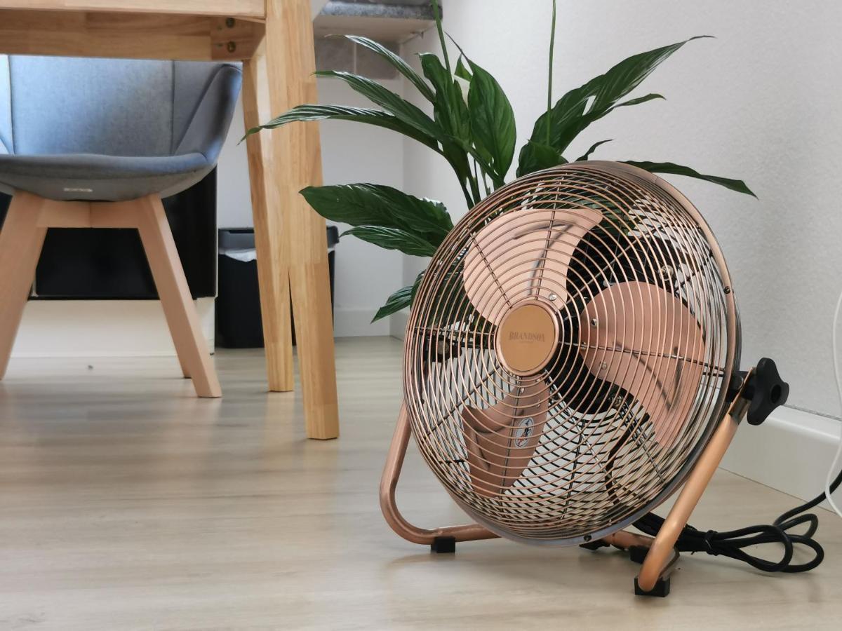 Fynbos Studio Dg In Der Altstadt, Frauenkirchenblick, Parkplatz Meißen Zewnętrze zdjęcie