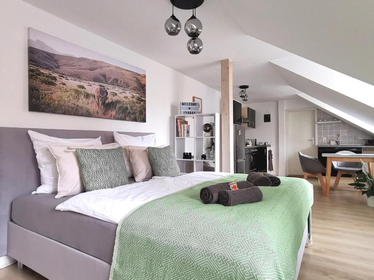 Fynbos Studio Dg In Der Altstadt, Frauenkirchenblick, Parkplatz Meißen Zewnętrze zdjęcie