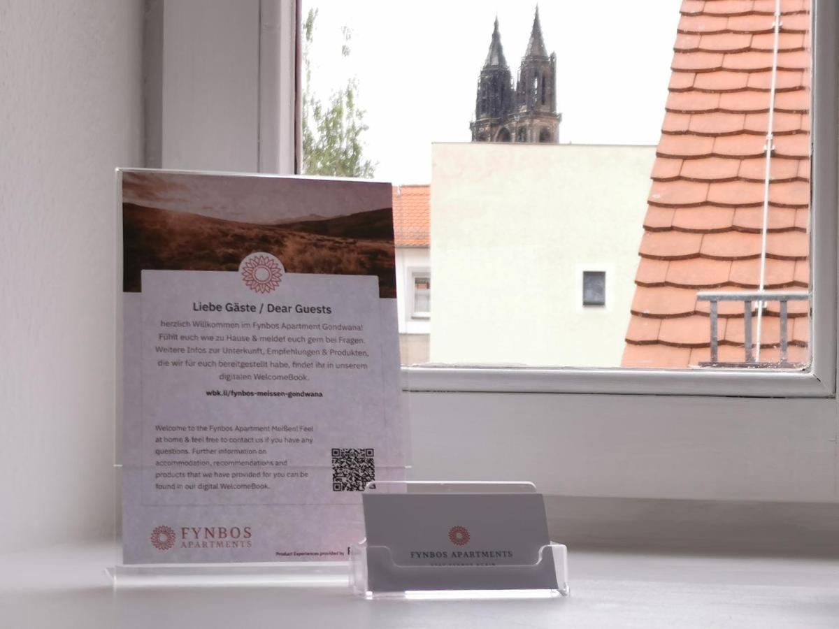 Fynbos Studio Dg In Der Altstadt, Frauenkirchenblick, Parkplatz Meißen Zewnętrze zdjęcie